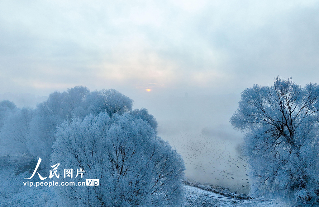 内蒙古呼和浩特：雾凇美景 宛若仙境【10】