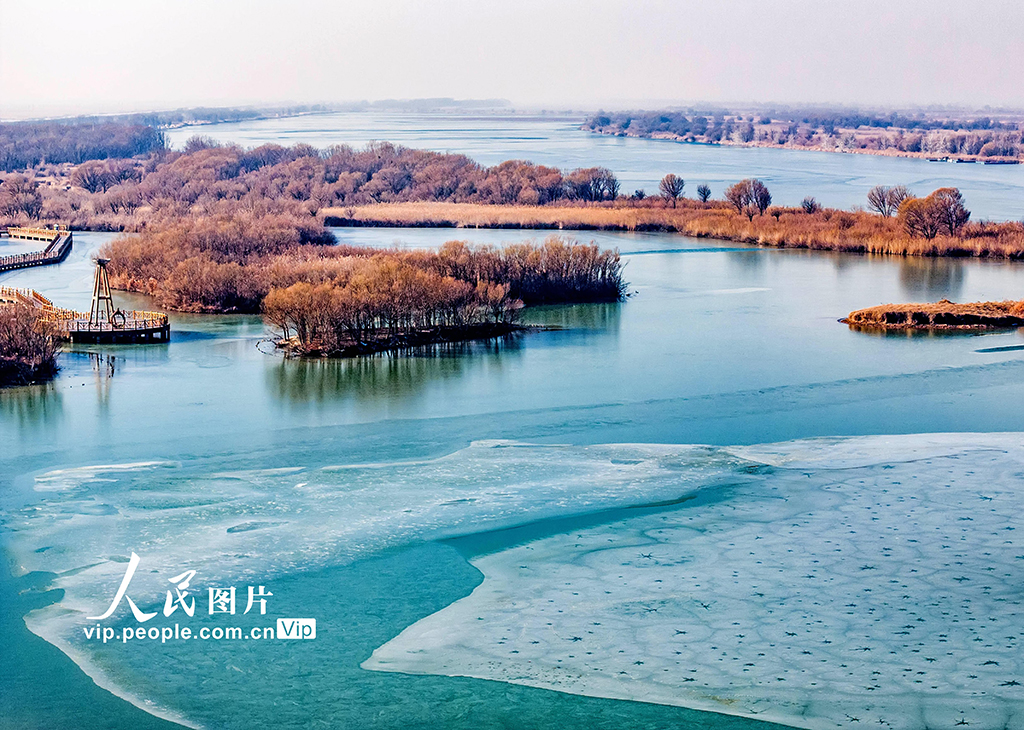 山东东营：黄河口湿地现冰花景观【3】
