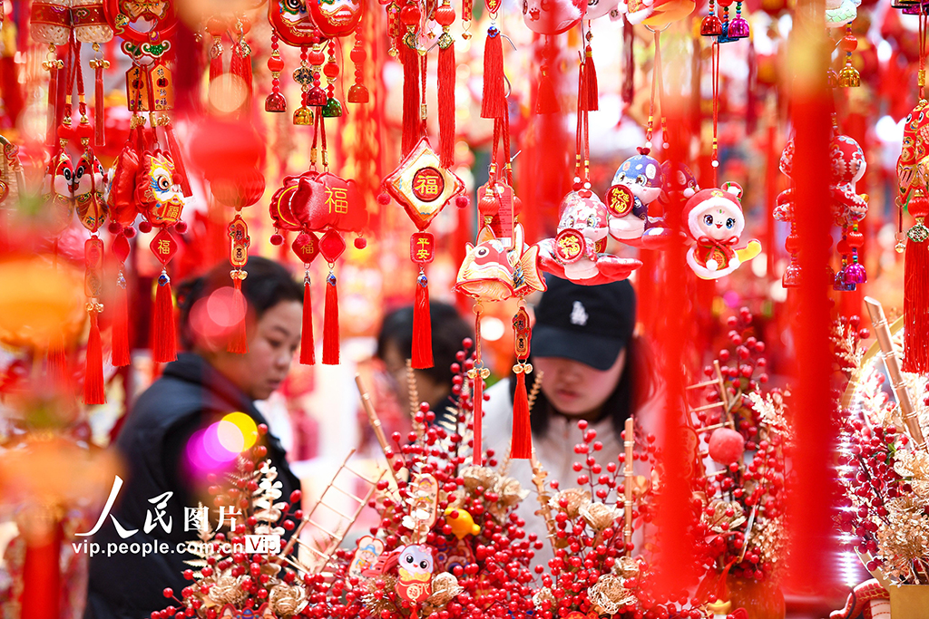 江苏南京：采购年货 喜迎新春【6】