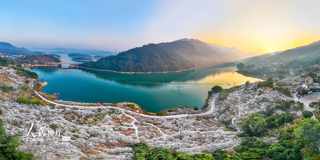广东广州：梅花绽放迎客来