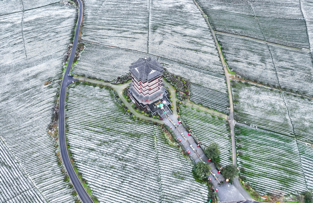 这是雪后的湄潭茶海景区（1月9日摄，无人机照片）。