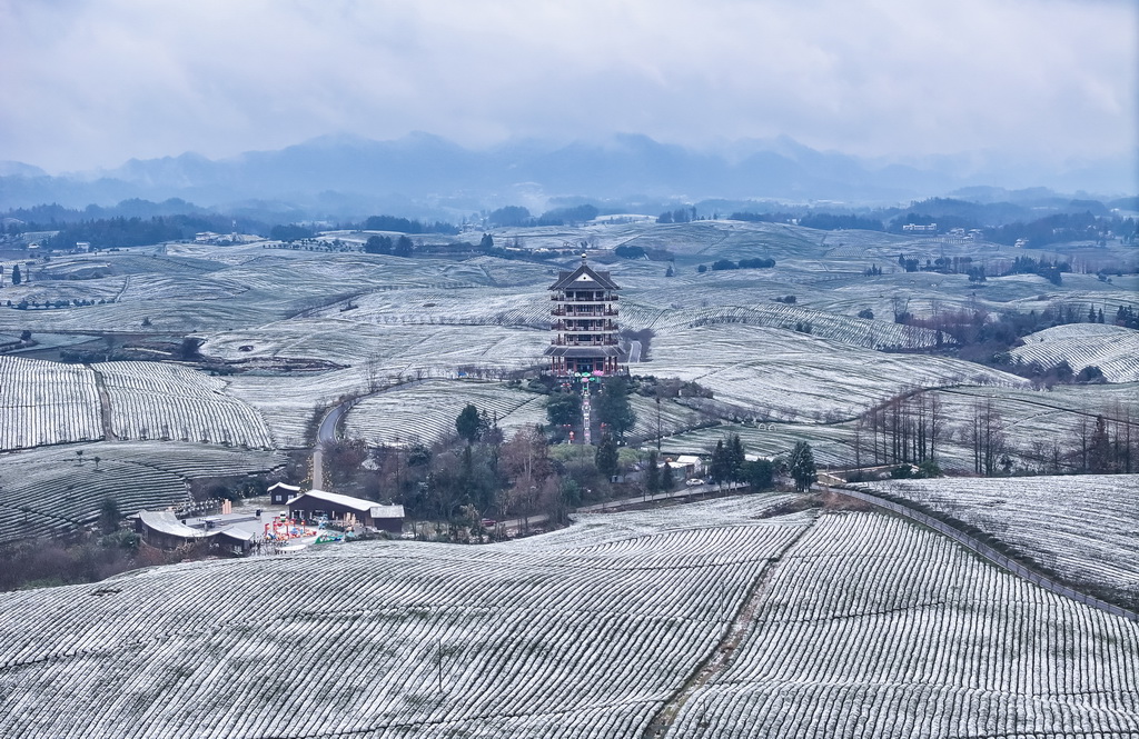 这是雪后的湄潭茶海景区（1月9日摄，无人机照片）。