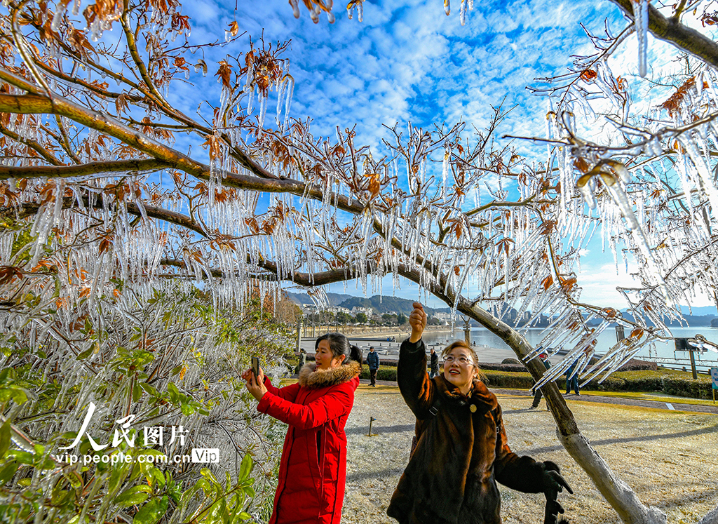 浙江淳安：千岛湖畔出现冰凌景观【3】