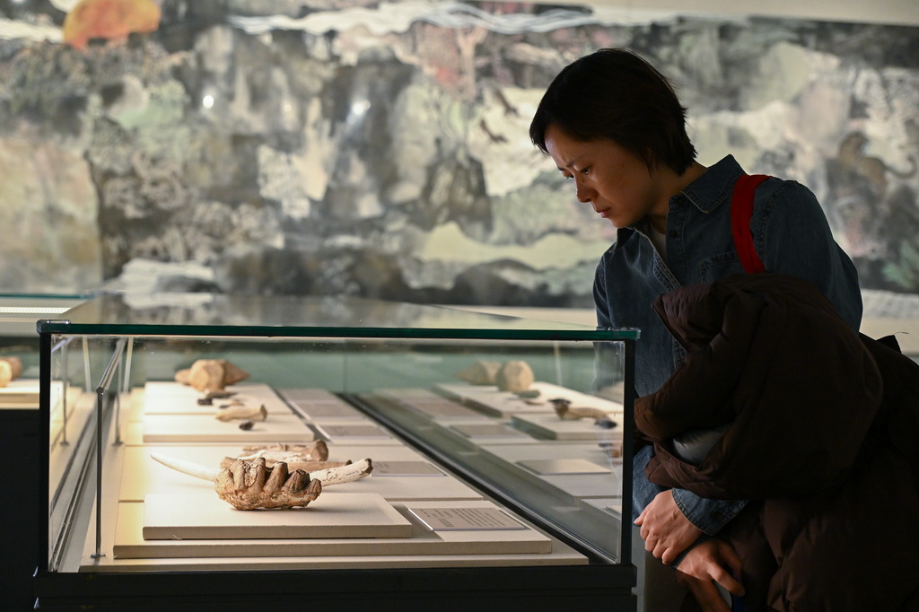 1月21日，参观者在“万古长歌——湖南史前文明图卷展”上观看湖南史前文明考古文物。