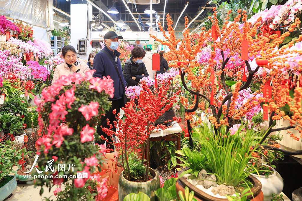 江苏南京：春节临近鲜花热销