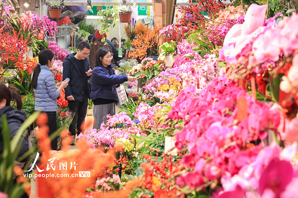 江苏南京：春节临近鲜花热销【2】