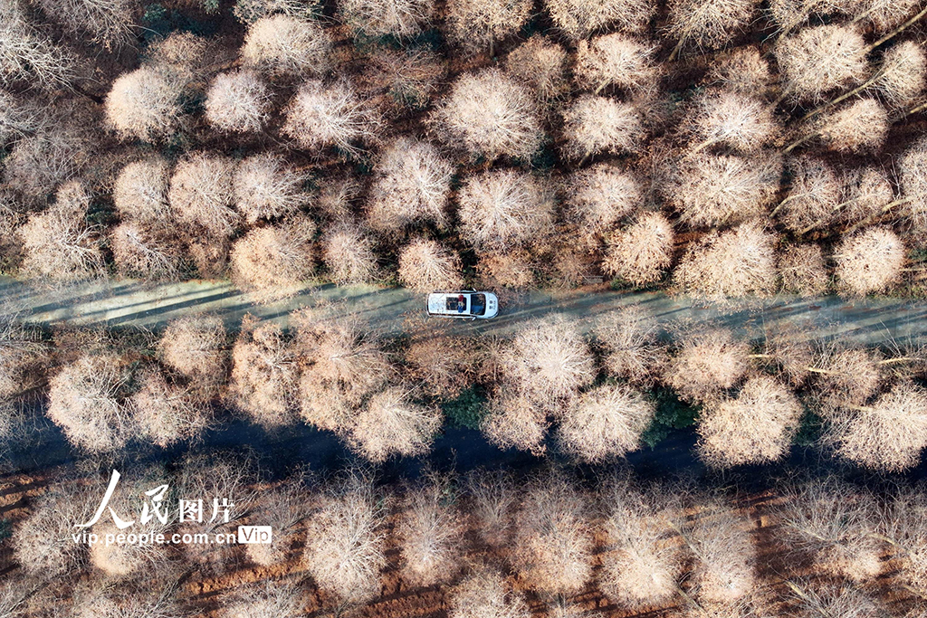 江苏扬州：坚守岗位 守护景区生态安全