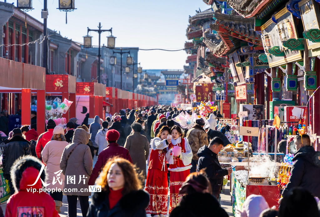 内蒙古呼和浩特：文化庙会贺新春【3】