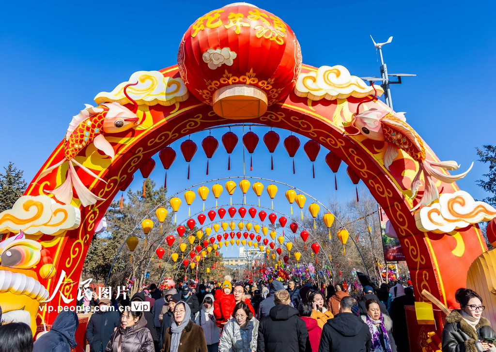 内蒙古呼和浩特：文化庙会贺新春【2】