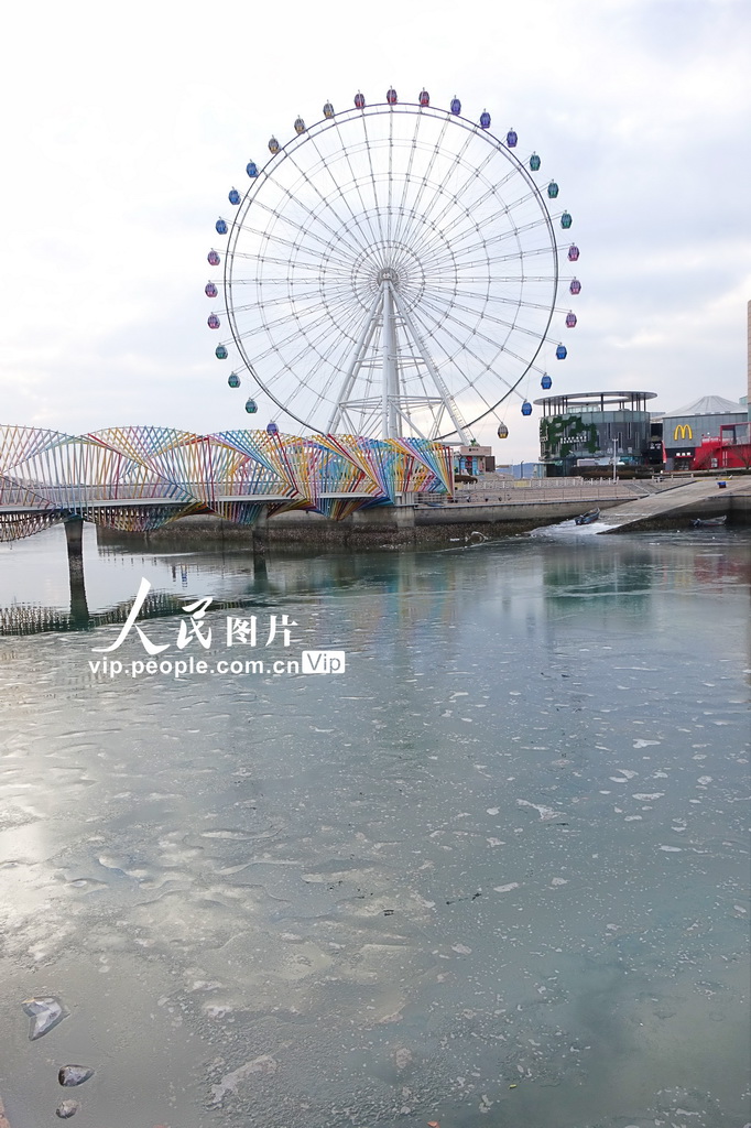 2025年2月6日，山东青岛西海岸新区唐岛湾海滨出现大片海冰。