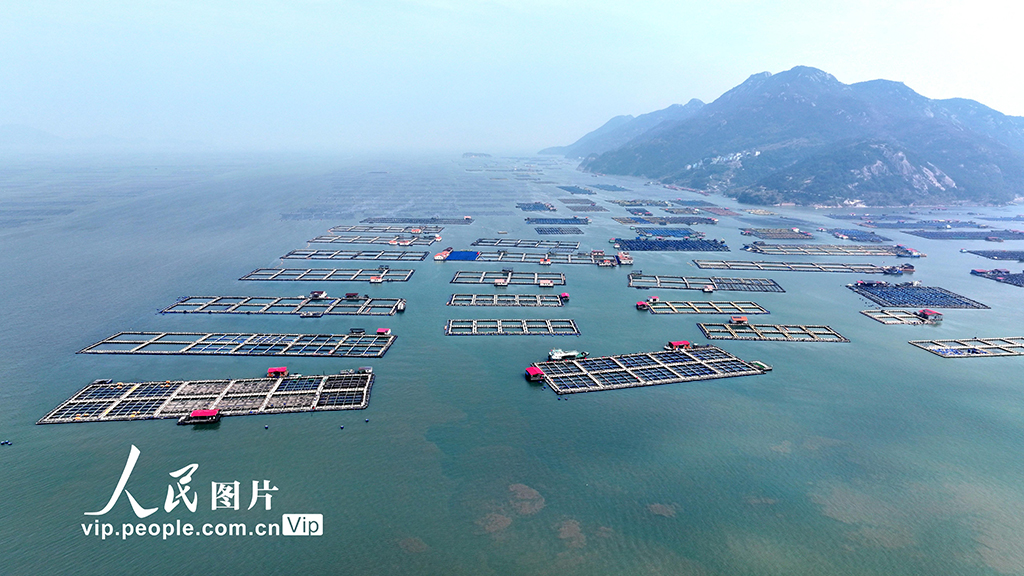 福建宁德：海上养殖基地
