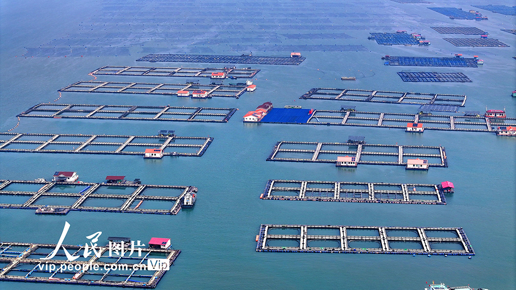 福建宁德：海上养殖基地【2】