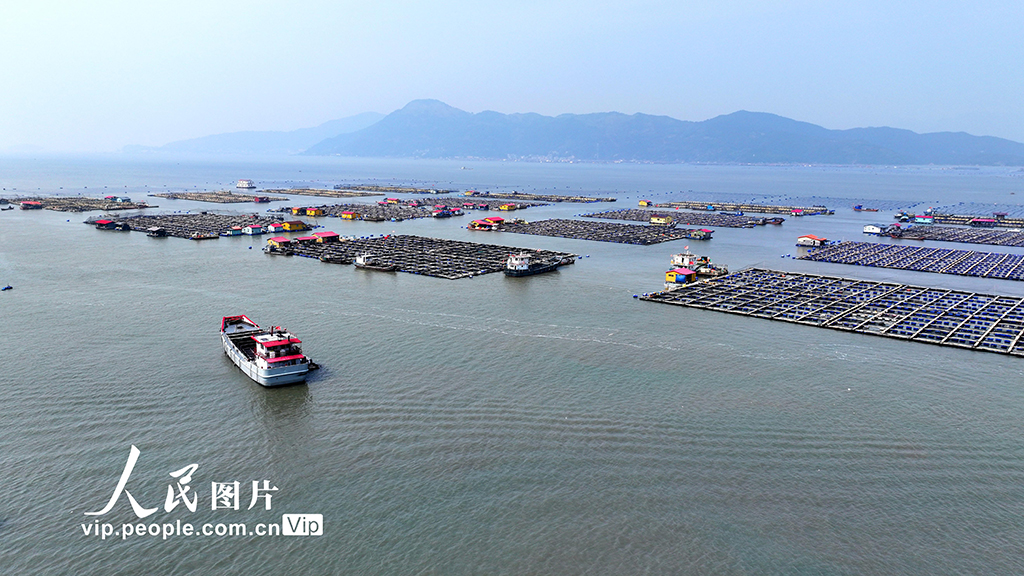 福建宁德：海上养殖基地【4】