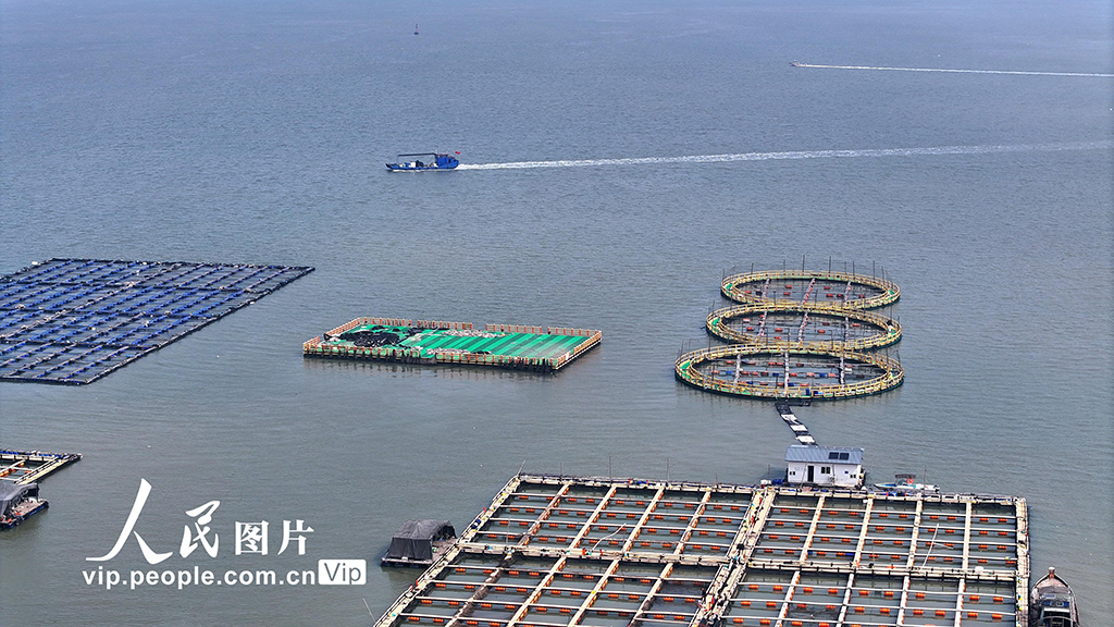 福建宁德：海上养殖基地【6】