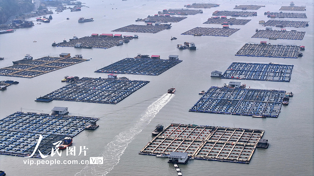 福建宁德：海上养殖基地【7】