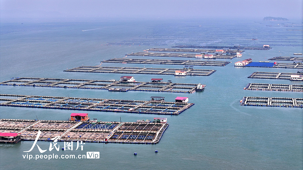 福建宁德：海上养殖基地【8】