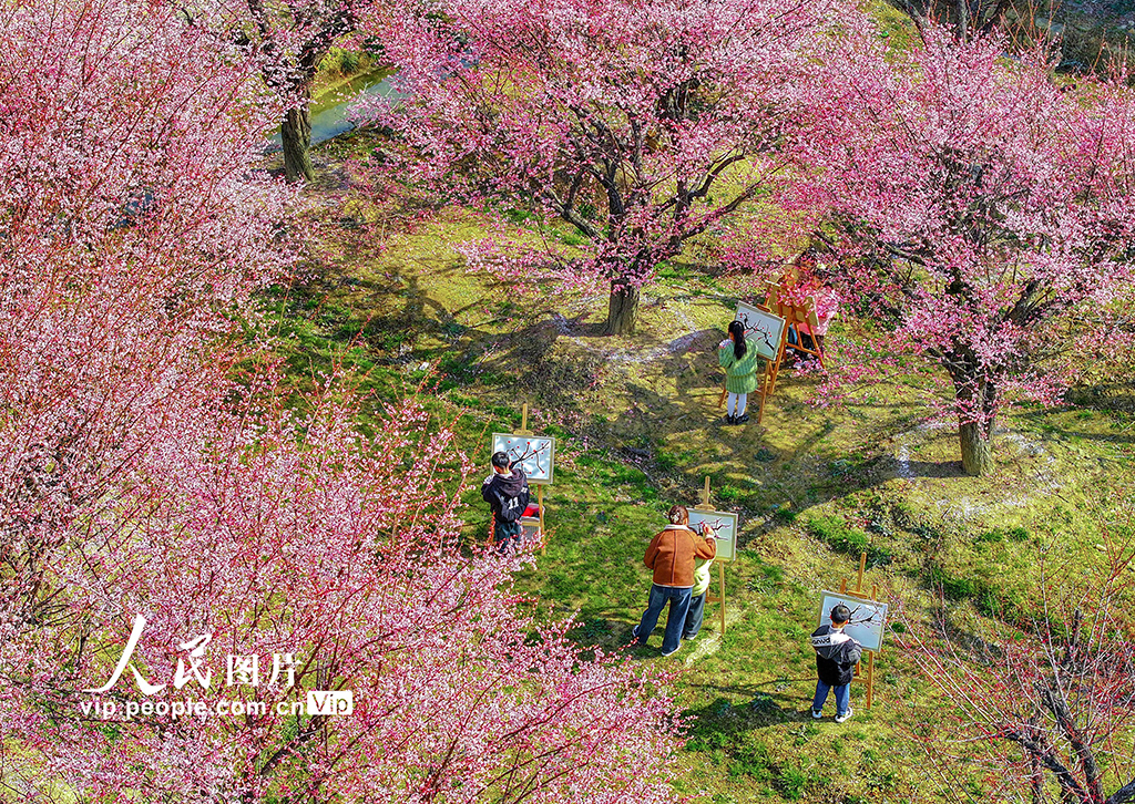 浙江长兴：梅园写生【4】