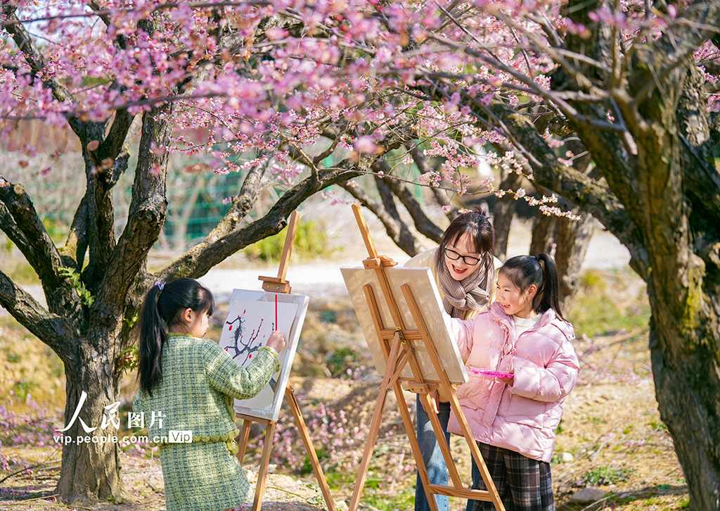 浙江长兴：梅园写生