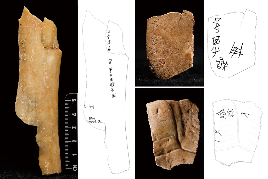 陕西宝鸡市周原遗址出土的刻辞甲骨及摹本（拼版照片，资料照片）。