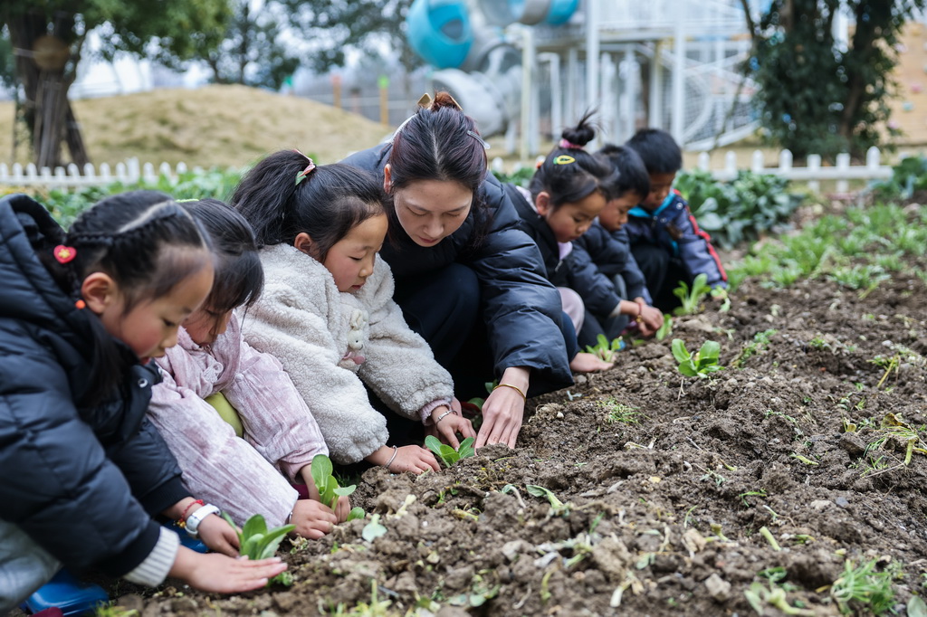 2月19日，诸暨市暨南街道街亭幼儿园的老师在农耕课上指导孩子们种植蔬菜苗。