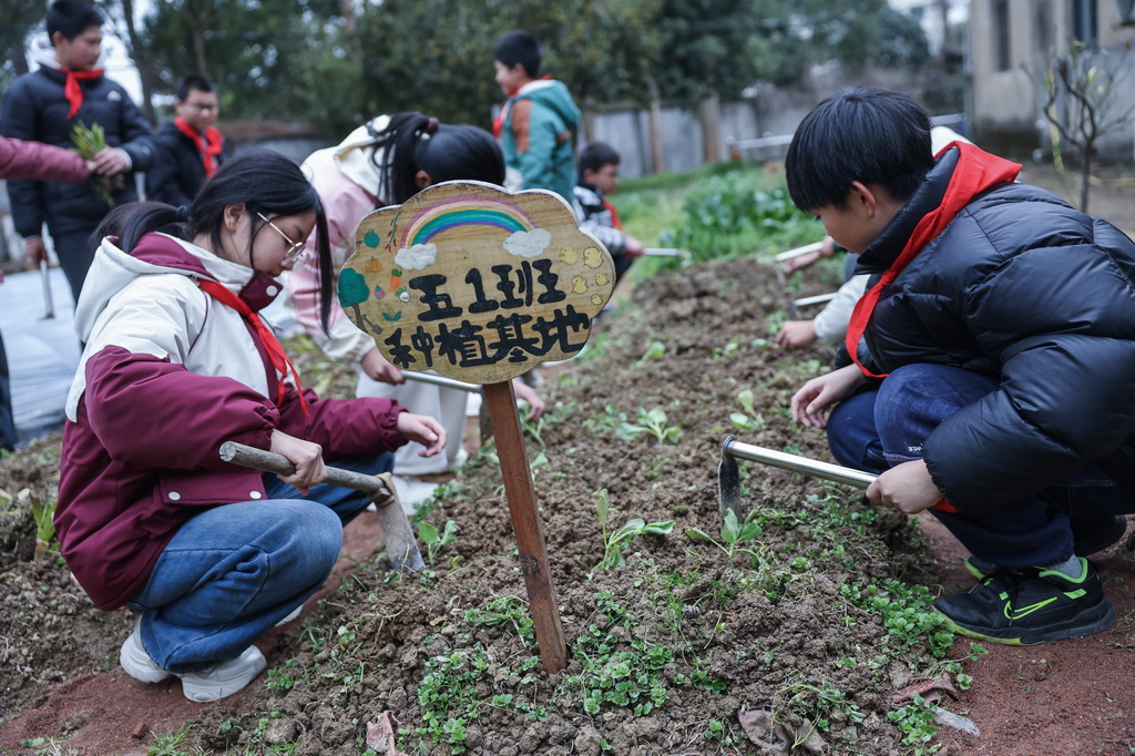2月19日，诸暨市暨南街道新壁小学的学生们在拓展课程上种植蔬菜。