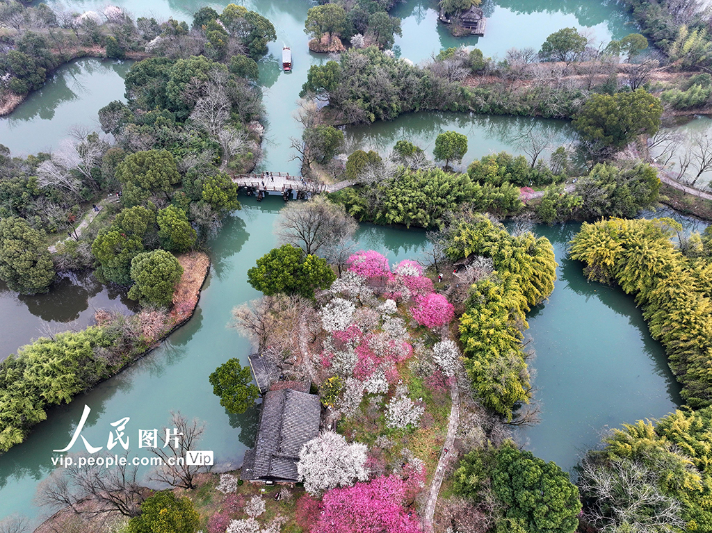 浙江杭州：梅花盛开游客来【5】