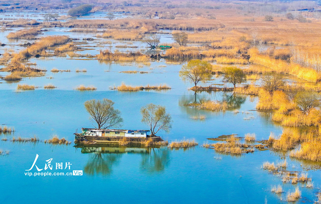 江苏泗洪：初春湿地景如画【3】