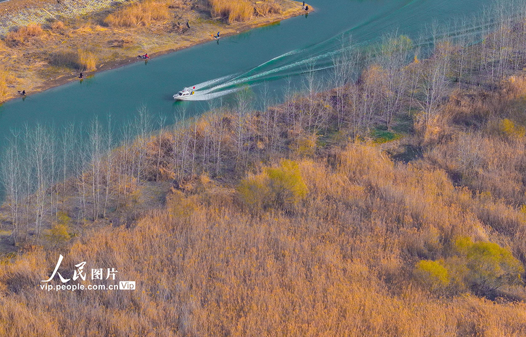江苏泗洪：初春湿地景如画【5】