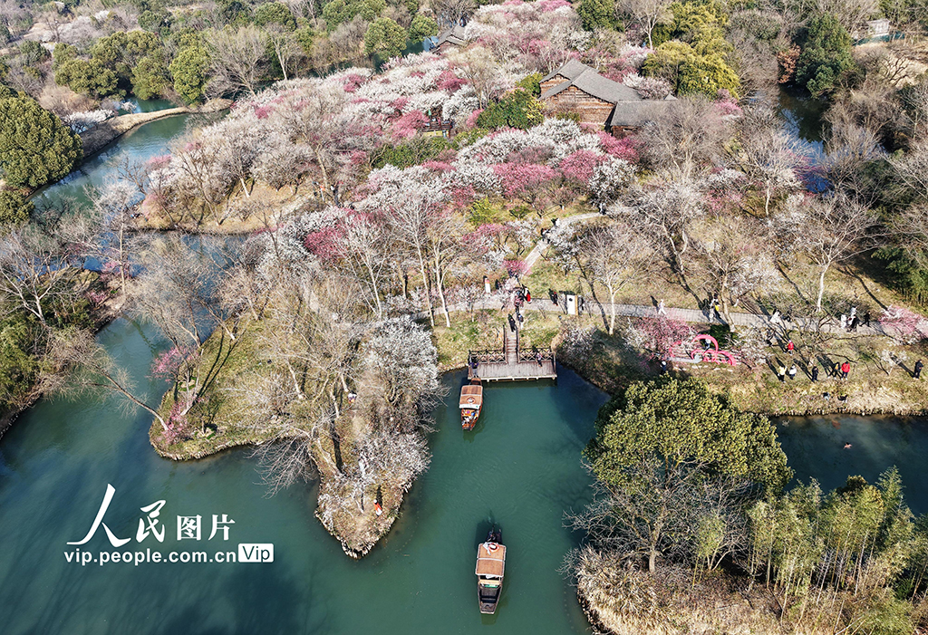 浙江杭州：西溪赏梅【6】