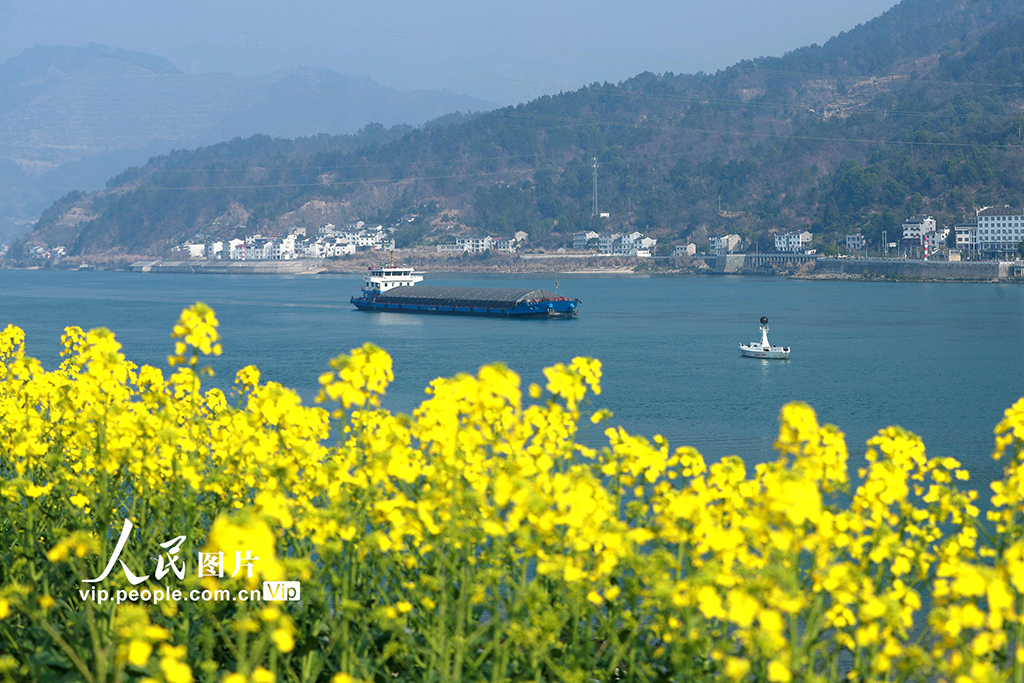 湖北宜昌：春到三峡