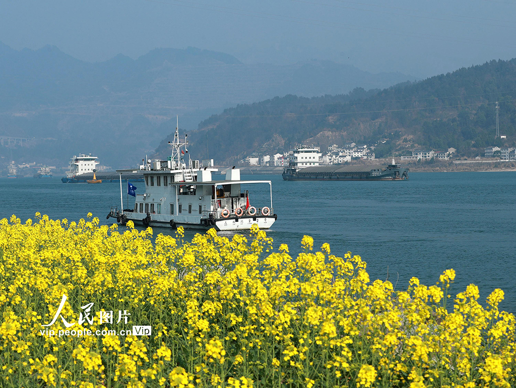 湖北宜昌：春到三峡【4】