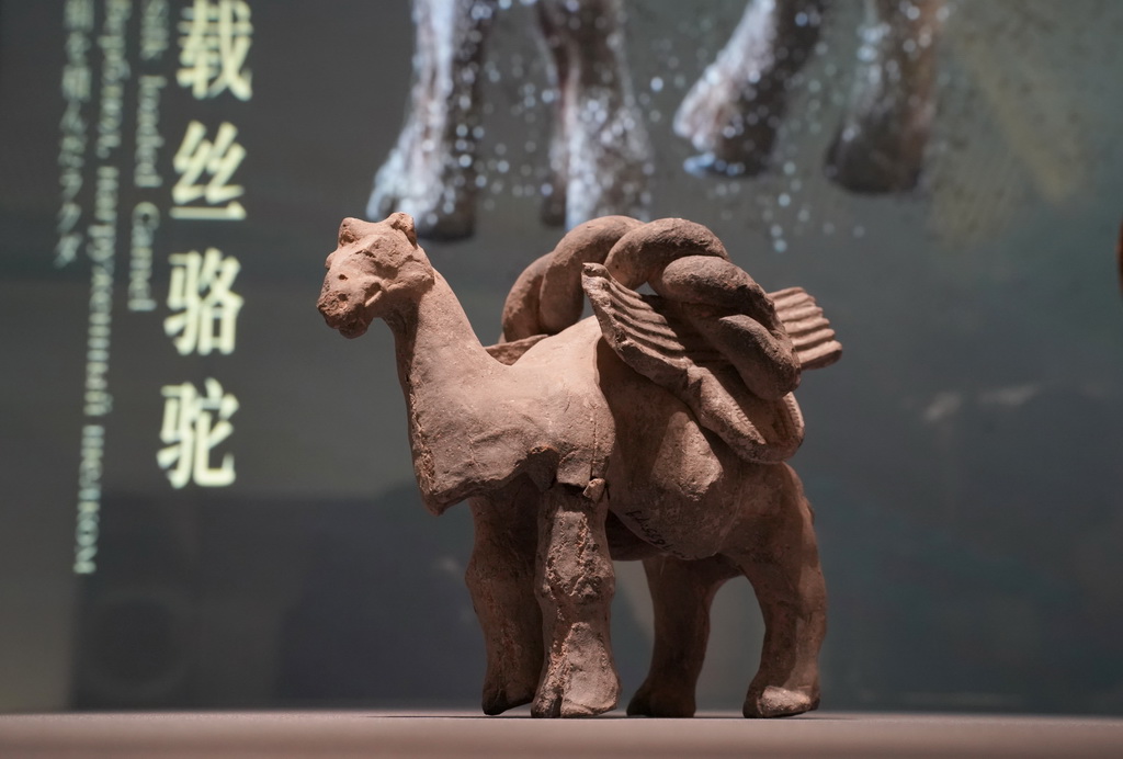 西部机场博物馆展出的北周文物彩绘陶载丝骆驼（2月26日摄）。