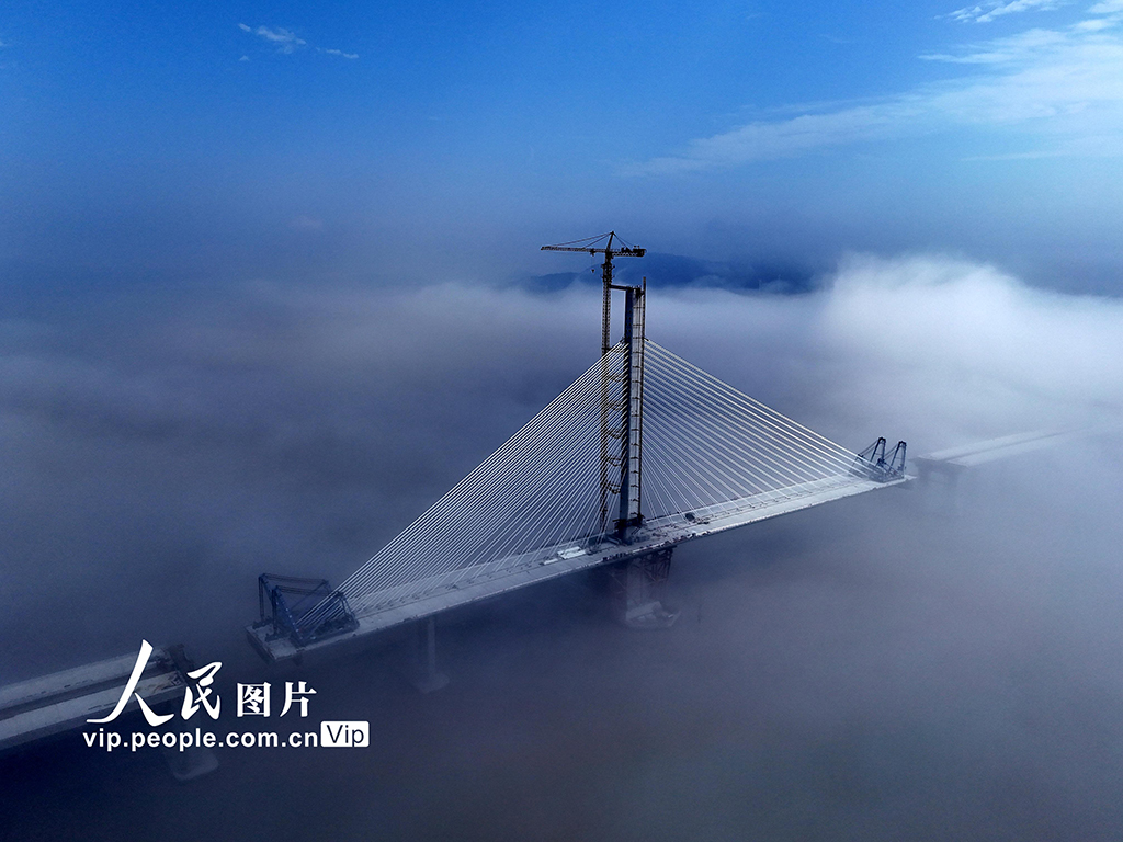 浙江温州：洞头峡跨海大桥建设有序推进【3】