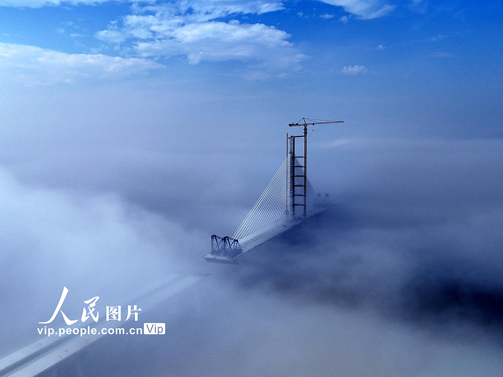 浙江温州：洞头峡跨海大桥建设有序推进【4】