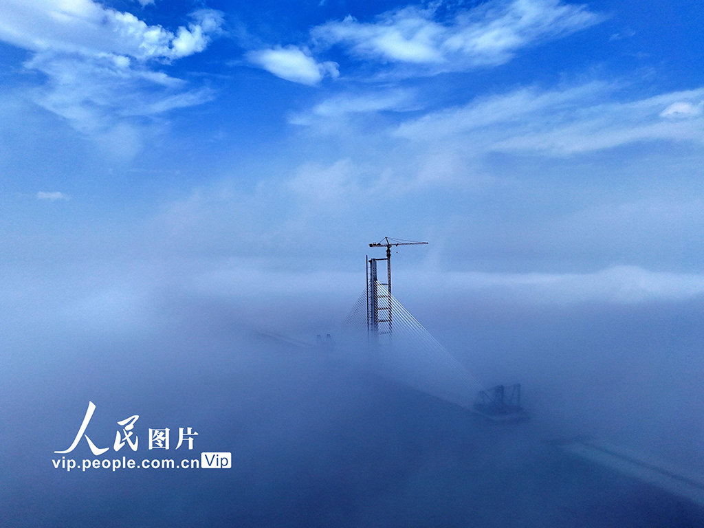 浙江温州：洞头峡跨海大桥建设有序推进【5】