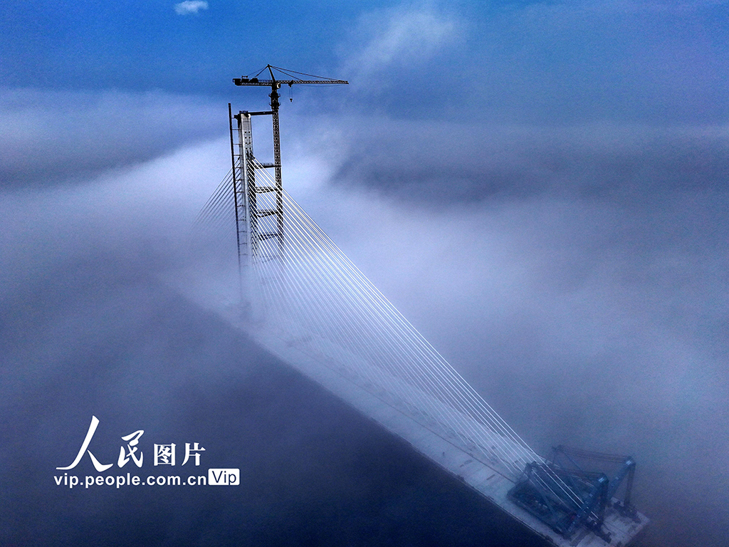 浙江温州：洞头峡跨海大桥建设有序推进【6】