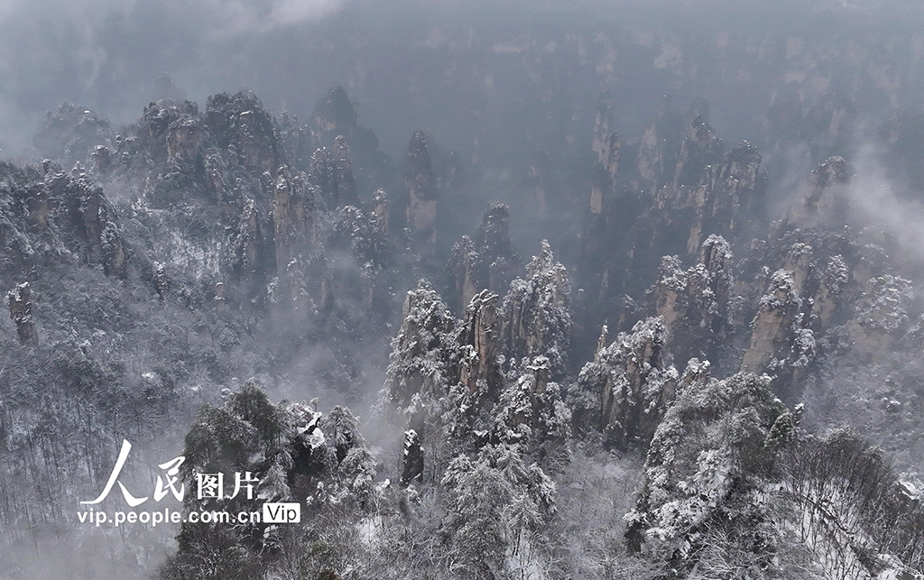 湖南张家界：春雪染峰林【4】
