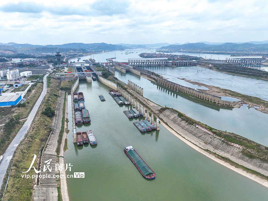 广西梧州：长洲水利枢纽航运忙【2】