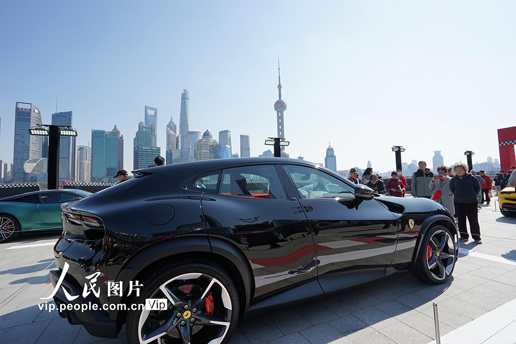 上海：“致敬F1中国大奖赛”主题车展受热捧【6】