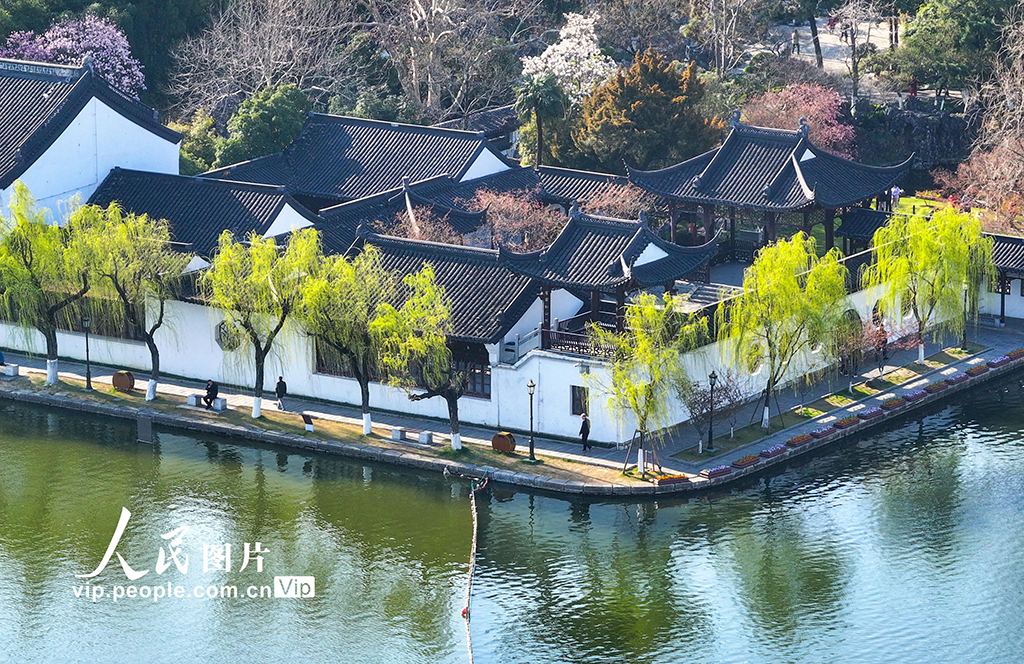 江苏南京：莫愁湖春景如画【4】