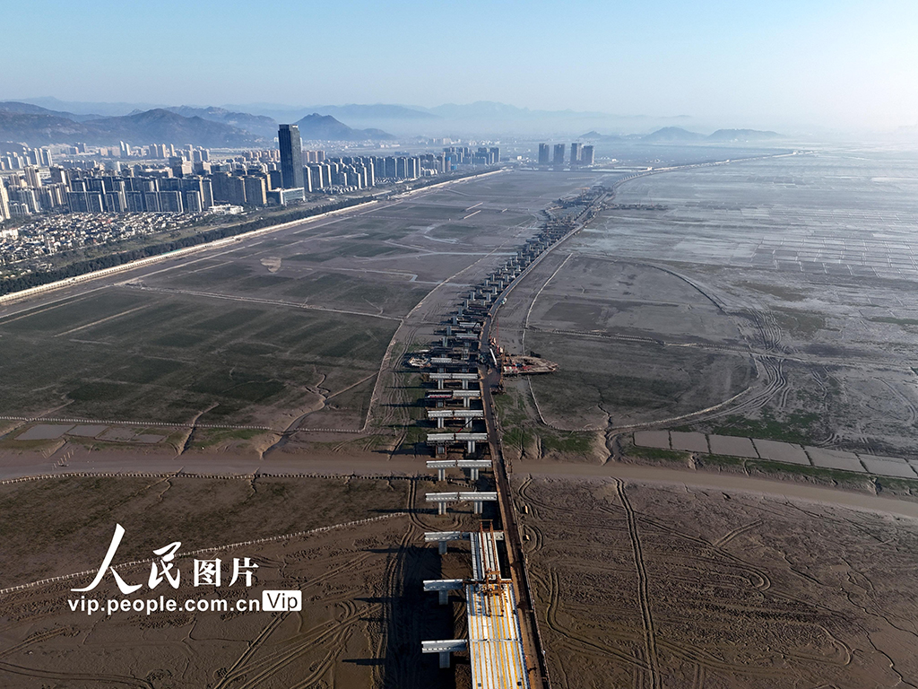 浙江温州：桥梁卧波架通途【4】