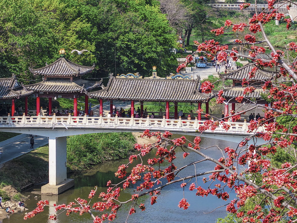 3月22日，人们在广东深圳龙岗区龙园公园内赏花游玩（无人机照片）。新华社发（黄志摄）
