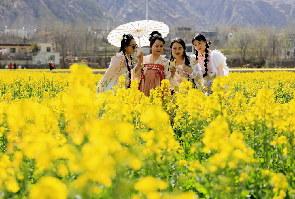 3月24日，游客在甘肃省陇南市武都区坪垭藏族乡赏花游玩。新华社发（冉创昌摄）