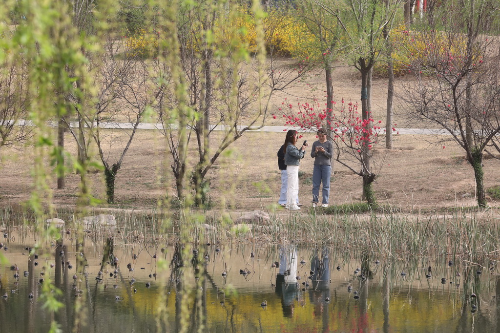 3月24日，人们在河南省焦作市温县子夏公园休闲游玩。新华社发（徐宏星摄）