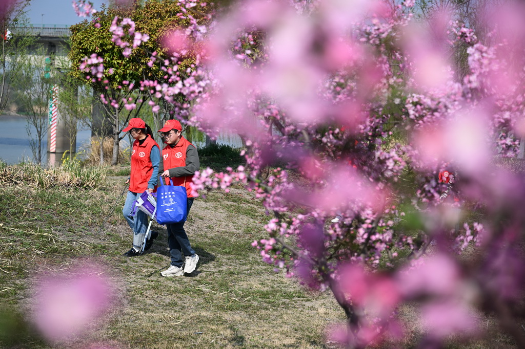 3月26日，扬州市江都区水务局大禹青年志愿服务队在南水北调东线源头水域岸边巡河并清理垃圾。新华社记者 季春鹏 摄