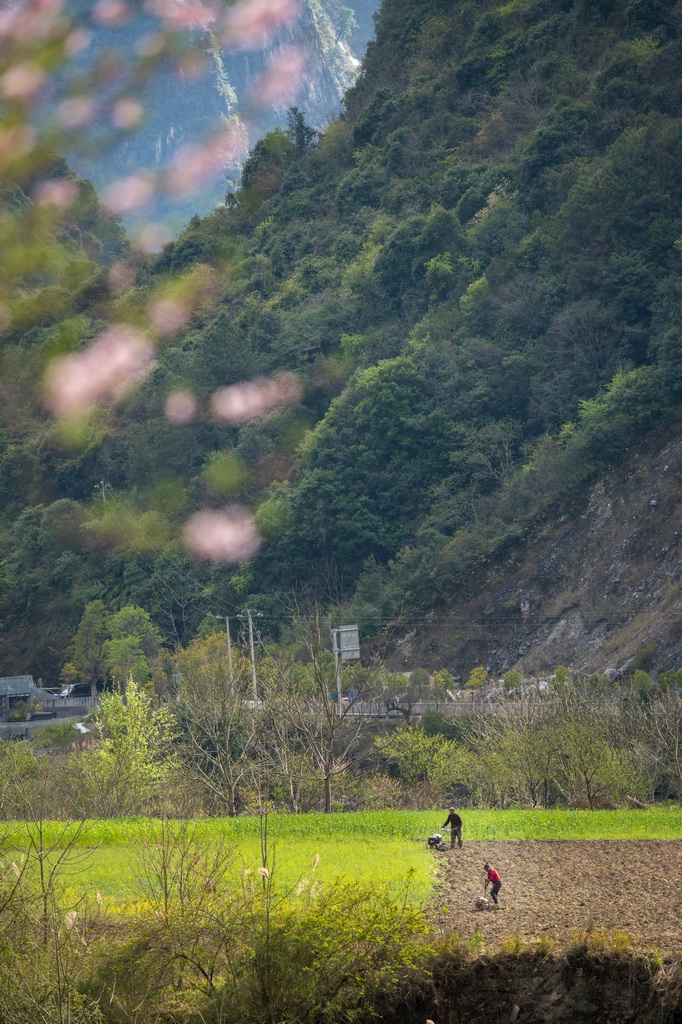 3月27日，怒江州贡山县雾里村村民在劳作。