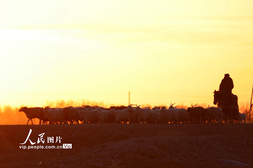 新疆阿勒泰：春季大转场开启【4】