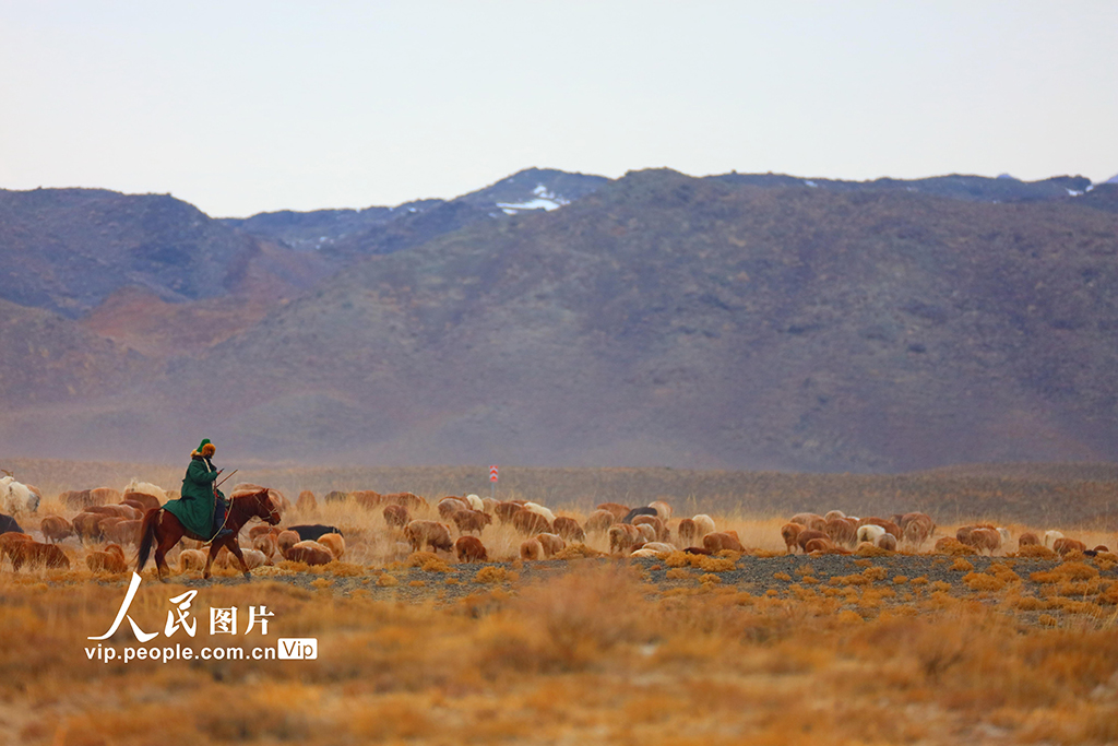 新疆阿勒泰：春季大转场开启【5】