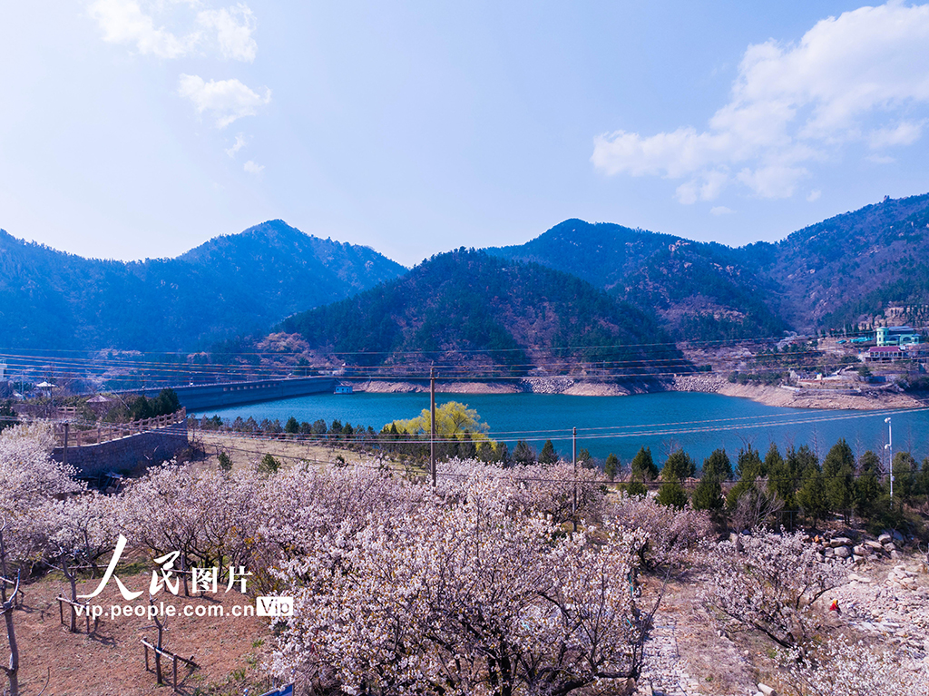 山东青岛：大石村水库蓄水备春灌