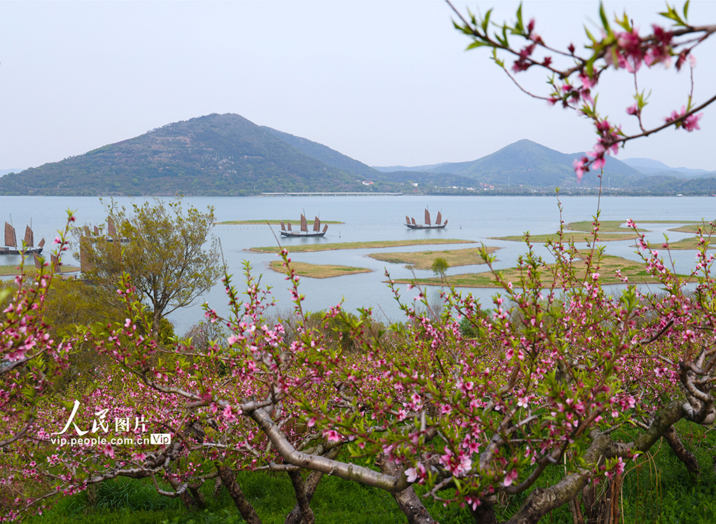 江苏苏州：太湖之滨春景如画【3】